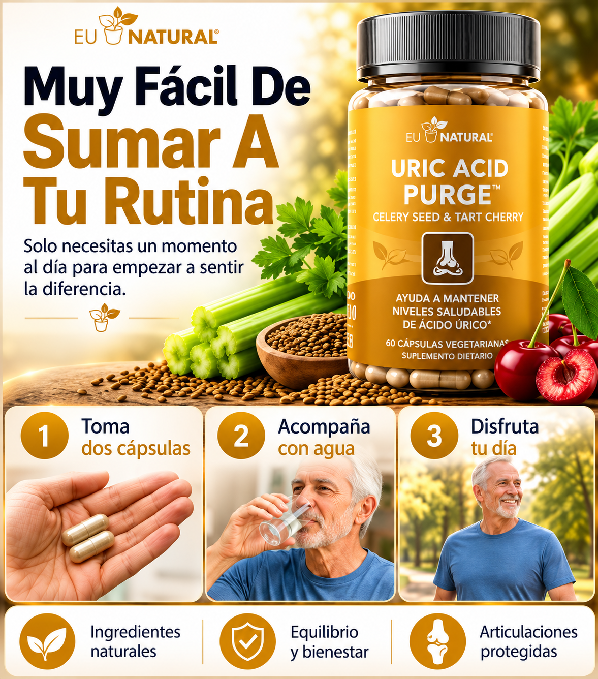 LIMPIADOR DE ACIDO URICO