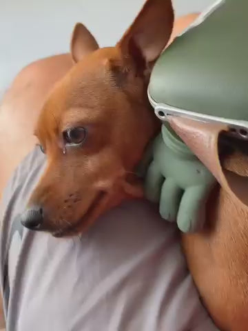Masajeador para Mascotas