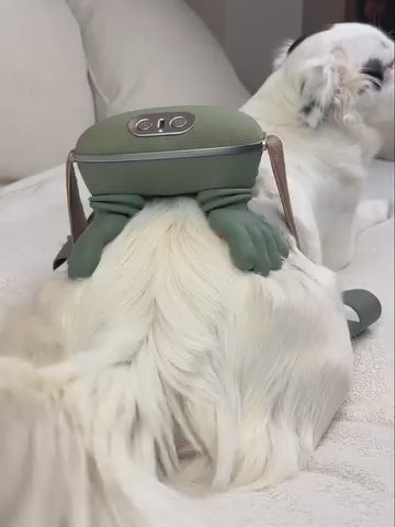 Masajeador para Mascotas