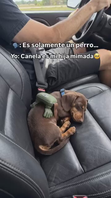 Masajeador para Mascotas