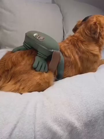 Masajeador para Mascotas